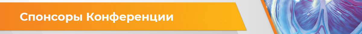 Спонсоры конференции